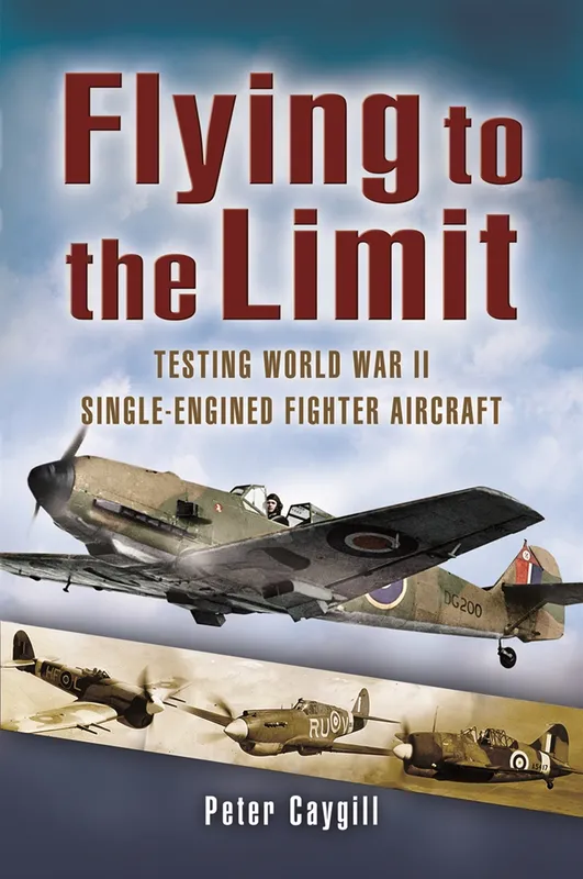 Flying to the Limit, E-bok