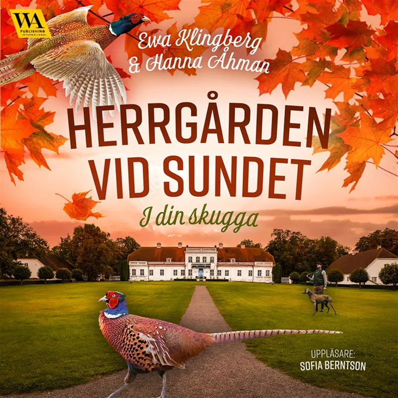 I din skugga, Ljudbok