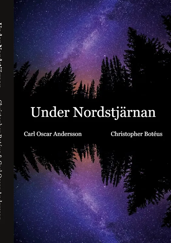 Under Nordstjärnan, E-bok