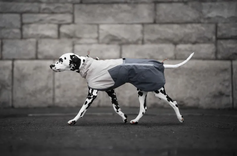 Fjord Raincoat 2.0 Regntäcke Grå 50
