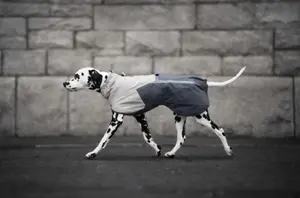 Fjord Raincoat 2.0 Regntäcke Grå 50