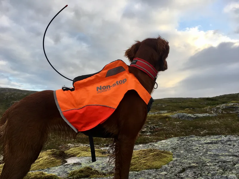 Non-stop Dogwear Protector Vest Gps Orange