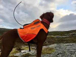 Non-stop Dogwear Protector Vest Gps Orange