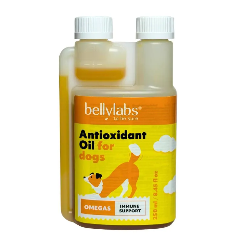 Bellylabs Antioxidant Oil för Hund 250 ml