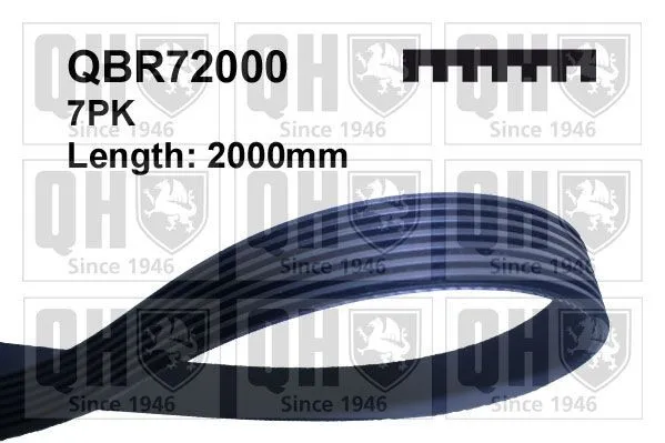 Multirem QUINTON HAZELL QBR72000
