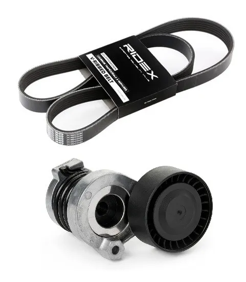 Drivremssats RIDEX 542R1373