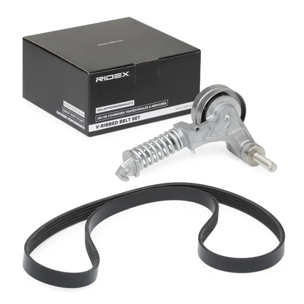 Drivremssats RIDEX 542R0173