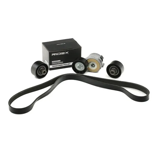 Drivremssats RIDEX 542R0297