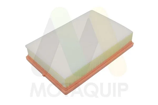 Luftfilter MOTAQUIP LVFA1766