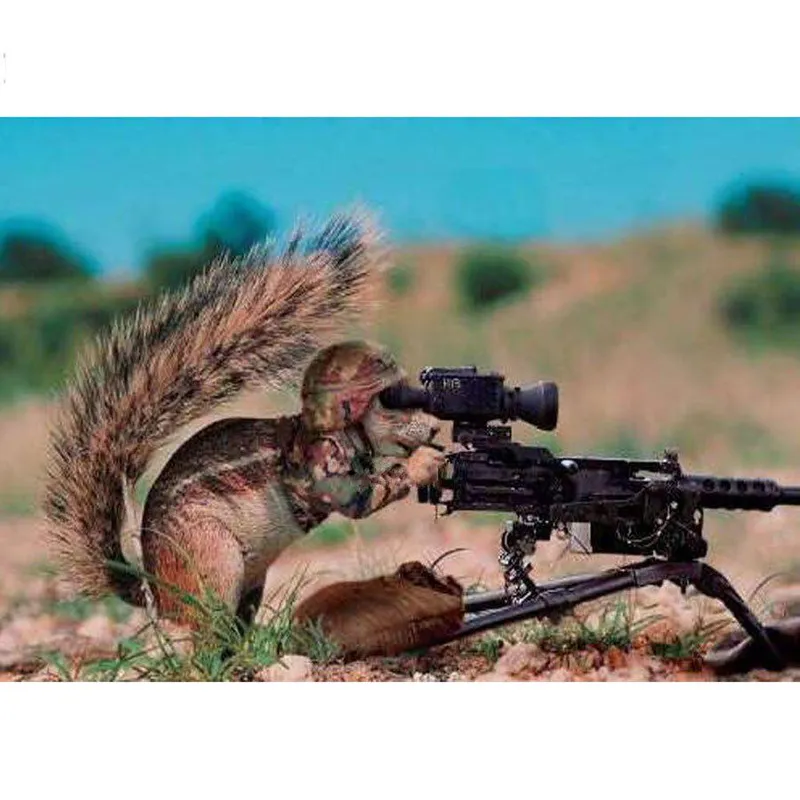 Diamantbroderi Squirrel 5D DIY Diamantmålning Korsstygn Bild av Rhinestone Wall Arts 20X30CM