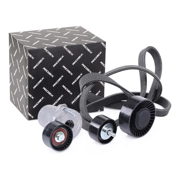 Drivremssats RIDEX 542R0397