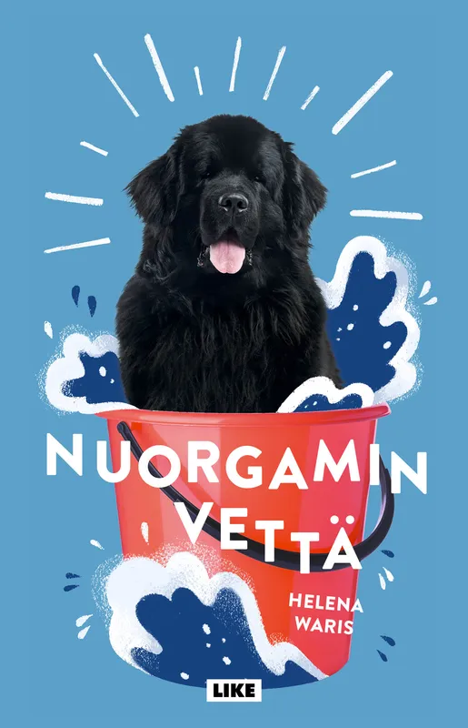 Nuorgamin vettä, E-bok