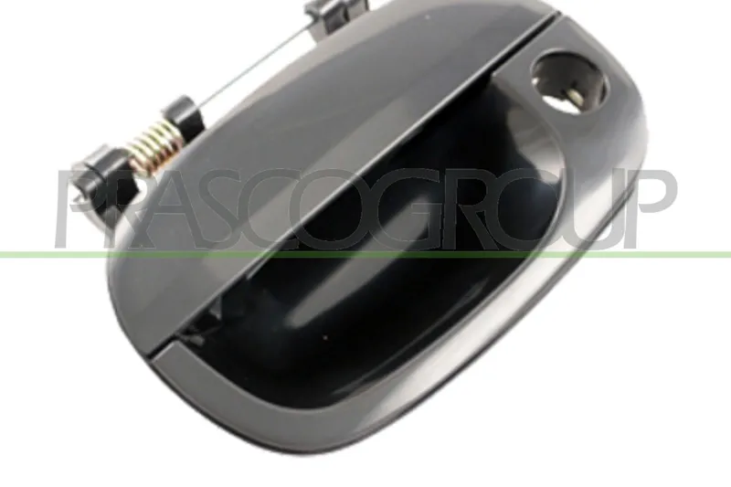 Dörrhandtag PRASCO HN9228001