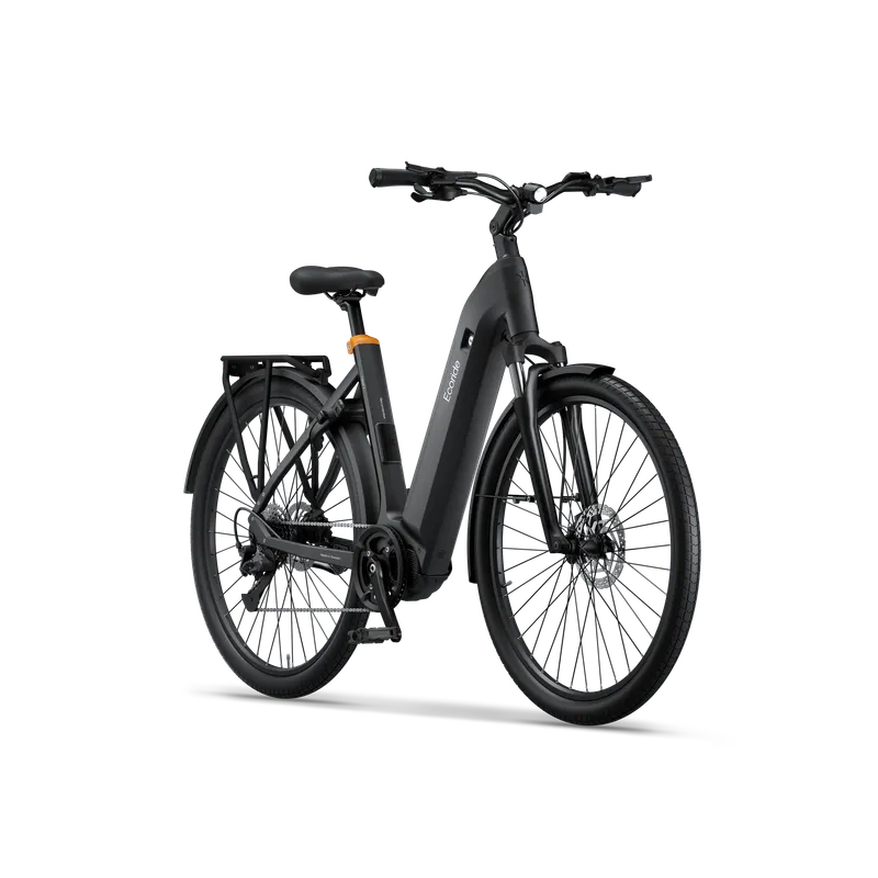 Ecoride Tripper-4-Midmotor-Low-step-black-small