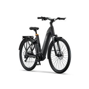 Ecoride Tripper-4-Midmotor-Low-step-black-small
