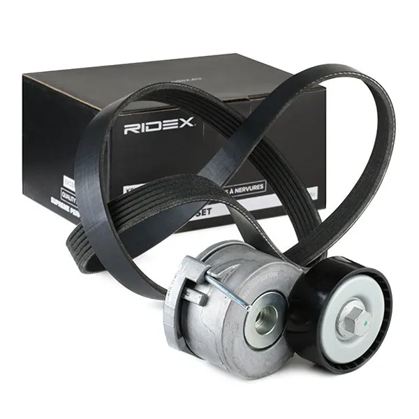 Drivremssats RIDEX 542R0125