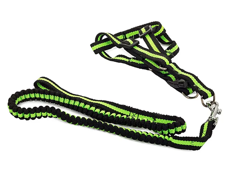 Elastiskt koppel med sele 80-125cm – Strl S – Grön