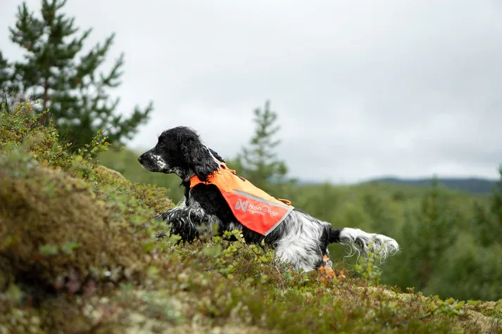 Non-stop Dogwear Protector Hundväst 2.0 Orange