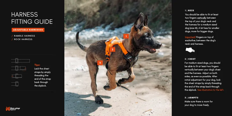 Ramble Hundsele Lila XL