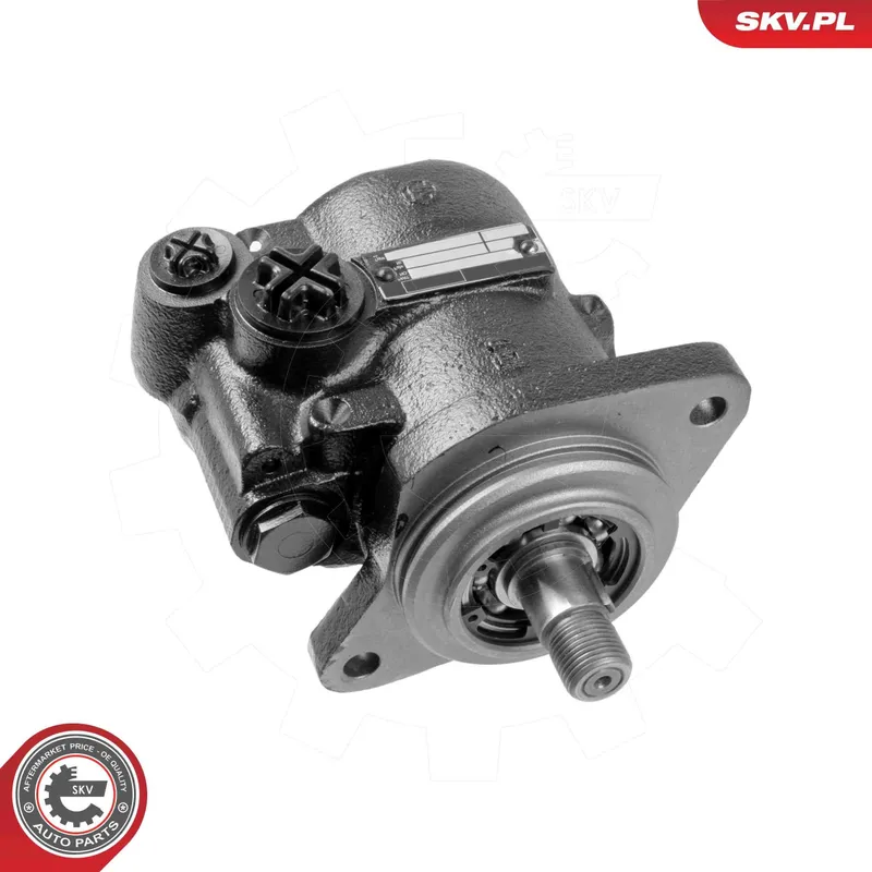 Servopump ESEN SKV 10SKV316