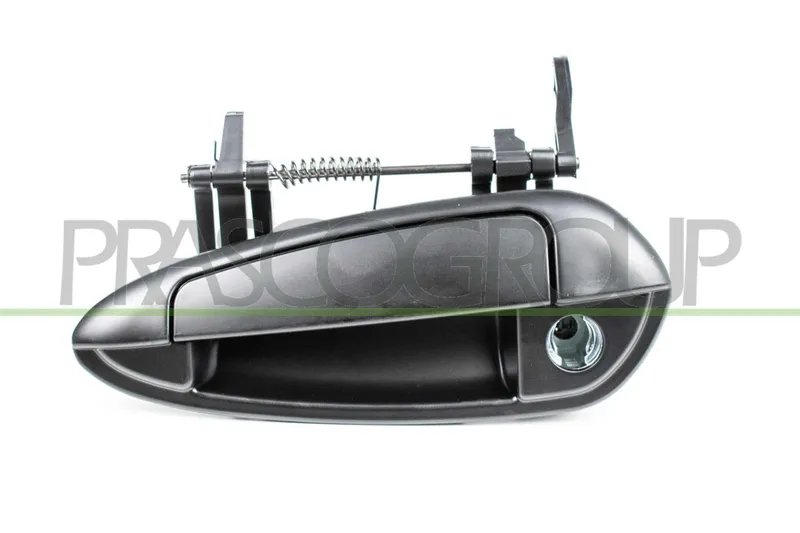Dörrhandtag PRASCO FT3428004