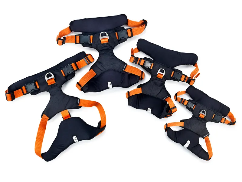 Dogman Sportsele Emmi orange L