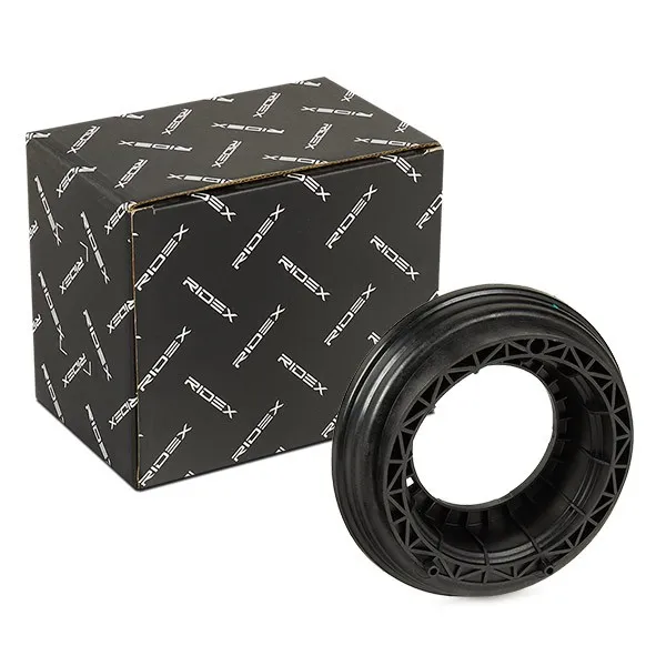 Fjäderbenslagring RIDEX 1180S0579