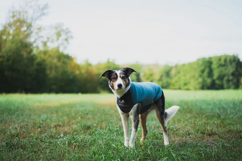 Trail Quest Fleece Pullover Fleecetröja Turkos 70