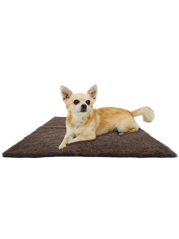 Active Canis Brun vetbed 75x60cm liten