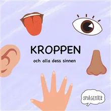 Kroppen och alla dess sinnen