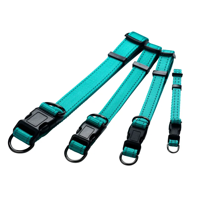 Dogman Nylon Hundhalsband Iris Turkos XL 25mmx38-66cm