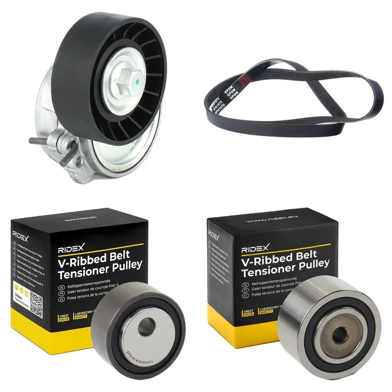 Drivremssats RIDEX 542R0341