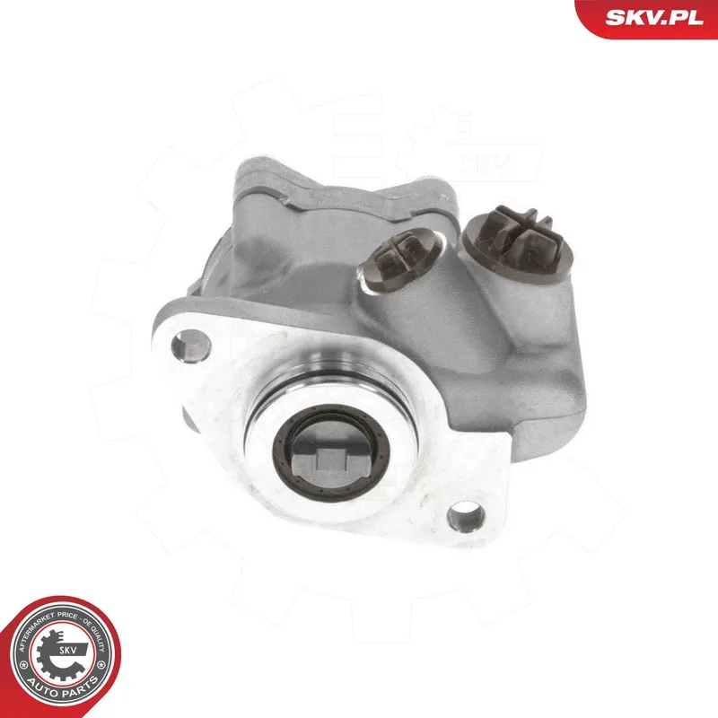Servopump ESEN SKV 10SKV318