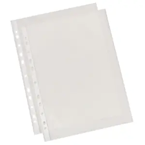 Plastficka ESSELTE PP A4 0,06 klar 100/F