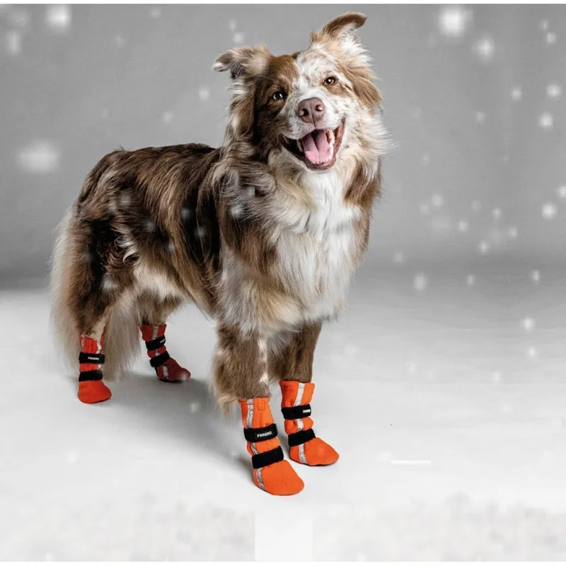 Halla Reflective Booties Hundsko 4-pack - XXS / Orange