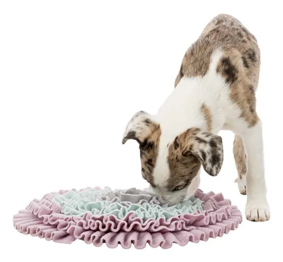 Aktivitetsmatta Junior Sniffing Carpet 38 cm
