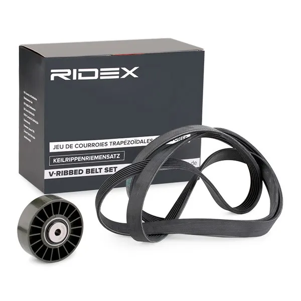 Drivremssats RIDEX 542R0177