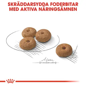 Royal Canin Mini Sterilised Adult Torrfoder till Hund