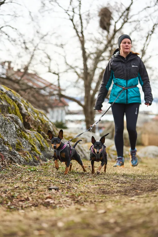 Line Harness 5.0 Hundsele Blå 4