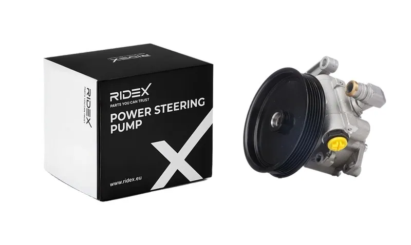 RIDEX 12H0202 Servopump