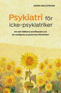 Psykiatri för icke-psykiatriker : Om det hållbara bemötandet och de vanligaste psykiatriska tillstånden