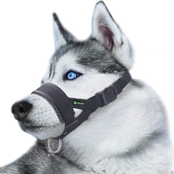 Munkorg för Hundar S