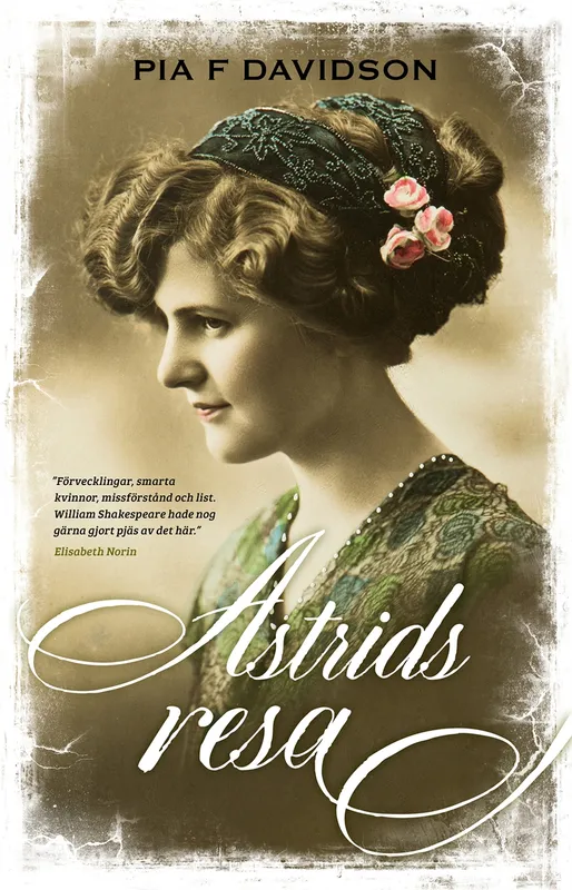 Astrids resa, E-bok