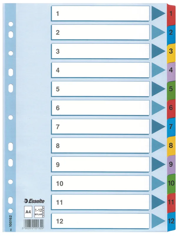 Esselte Register Mylar A4/1-12 multifärgat