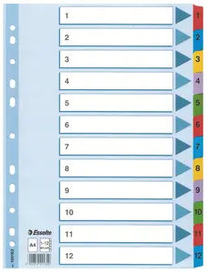 Esselte Register Mylar A4/1-12 multifärgat