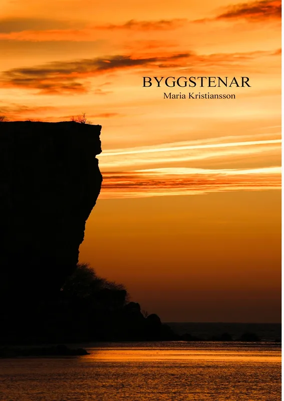 Byggstenar, E-bok