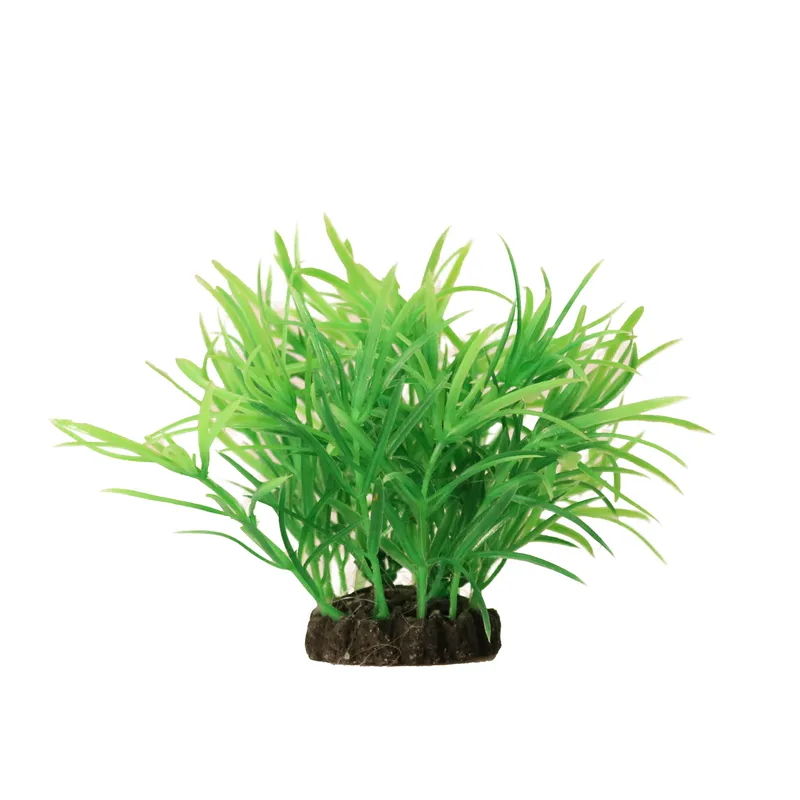 AQUAEL Dekorväxt 10cm