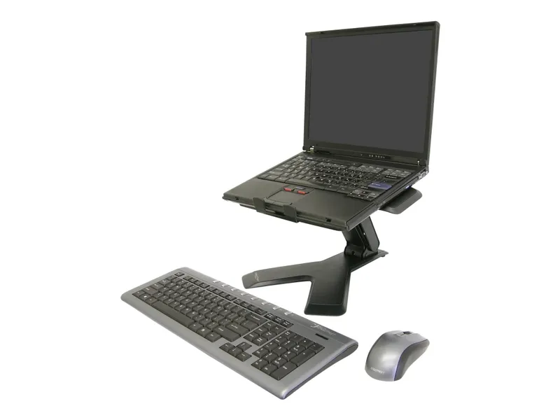 Ergotron Neo-Flex Notebook Li