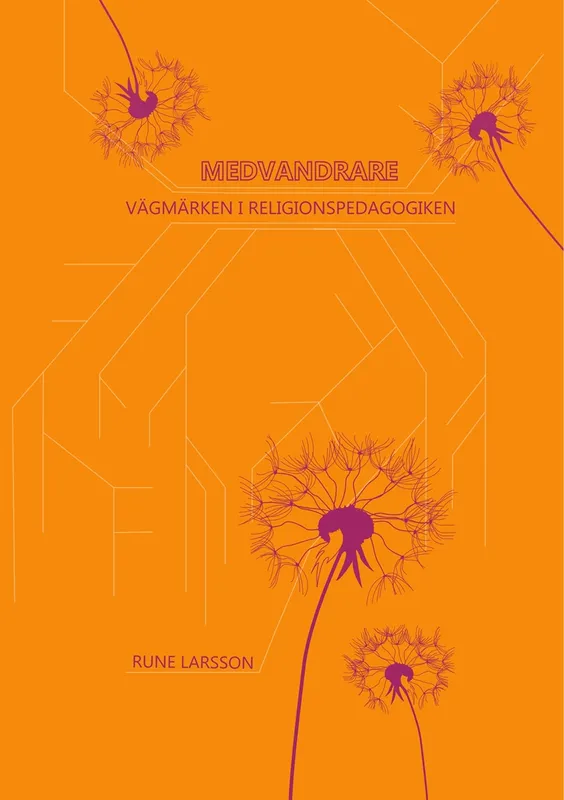 Medvandrare: Vägmärken i religionspedagogiken, E-bok