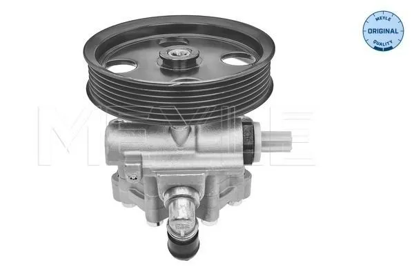 Servopump MEYLE 15-14 631 0001